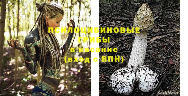 СК Абинск