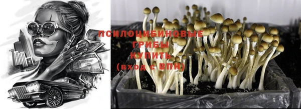 мяу мяу мука Алексин