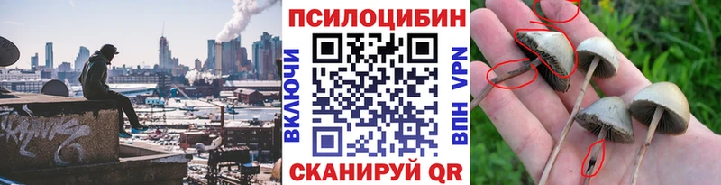 Галлюциногенные грибы Cubensis  Верхоянск 