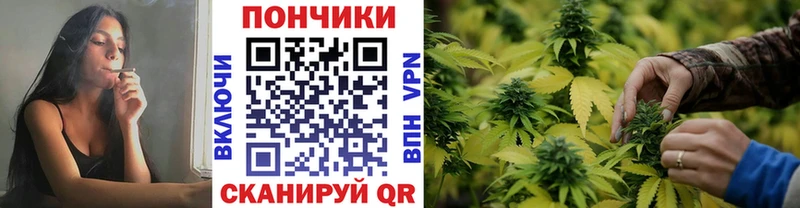 Шишки марихуана OG Kush  кракен ССЫЛКА  Верхоянск  где продают наркотики 